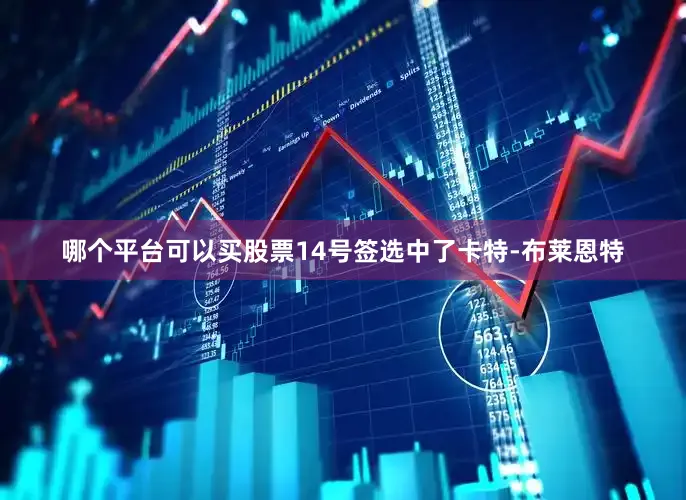 哪个平台可以买股票14号签选中了卡特-布莱恩特